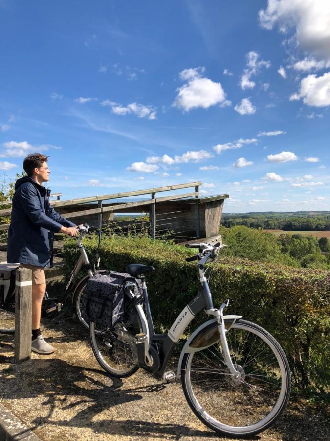Manoir La Rumillette サン・ミッシェル・シュル・ロワール エクステリア 写真